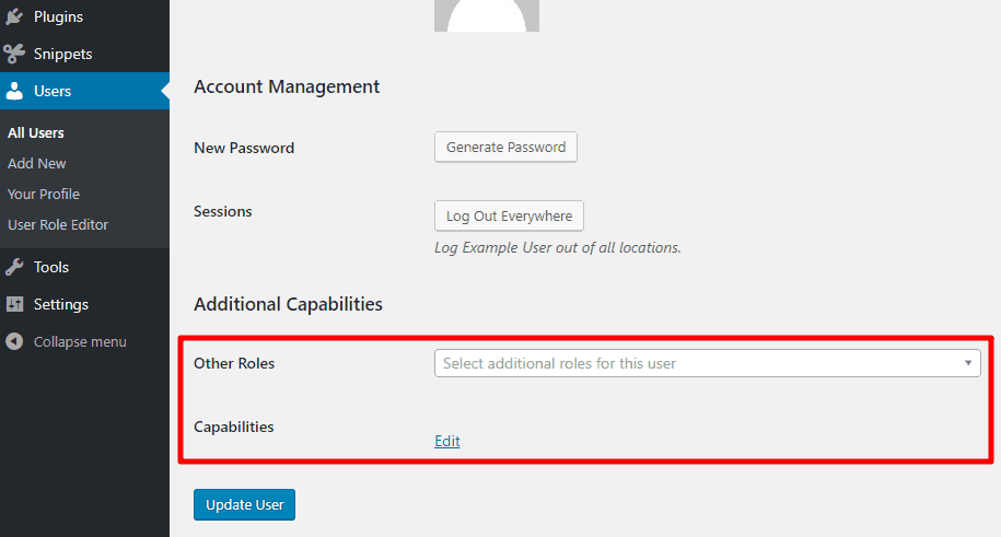 características adicionales del editor de roles de usuario