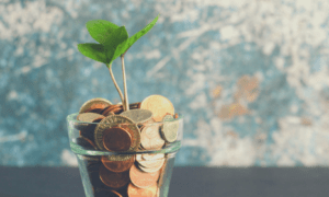 Affiliate Marketing with GoWP