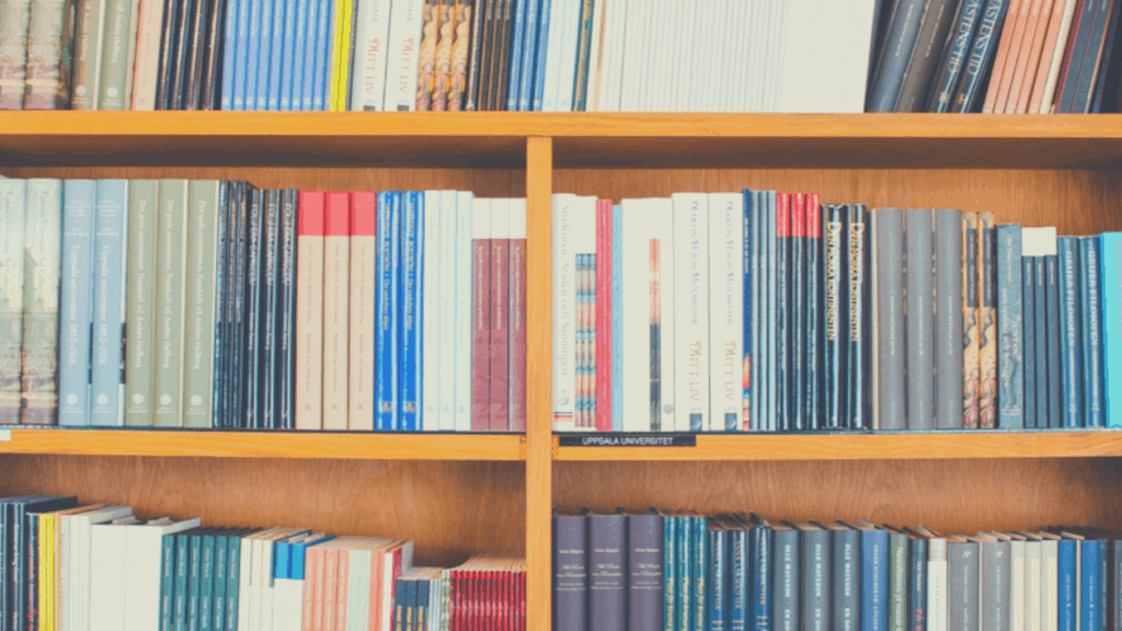 WordPress database plugins