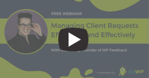 GoWP Webinar with Vito Peleg, WP Feedback